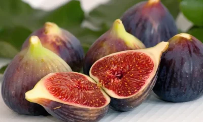 The Wonders of Friday Fig: A Delicious and Nutritious Delight