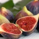 The Wonders of Friday Fig: A Delicious and Nutritious Delight