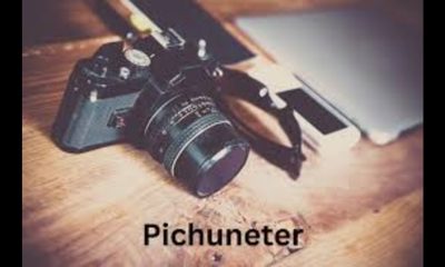 Discovering Pichuneter: A Hidden Gem in the Digital Universe