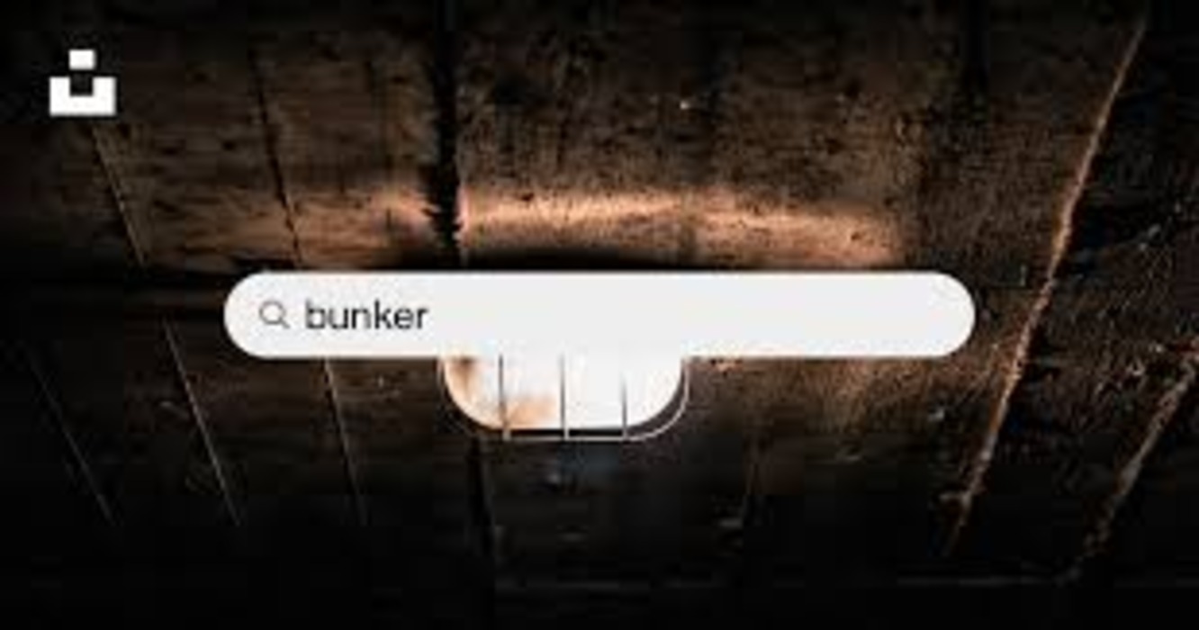 Discover the World of Bunkrr: A Comprehensive Guide